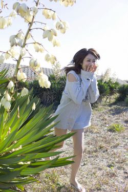 日本或将诞生第一位女首相